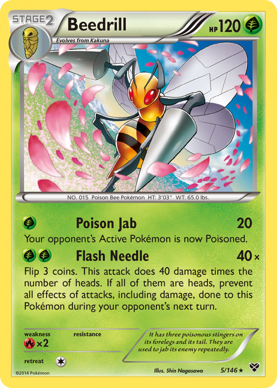 Beedrill 5/146 XY XY