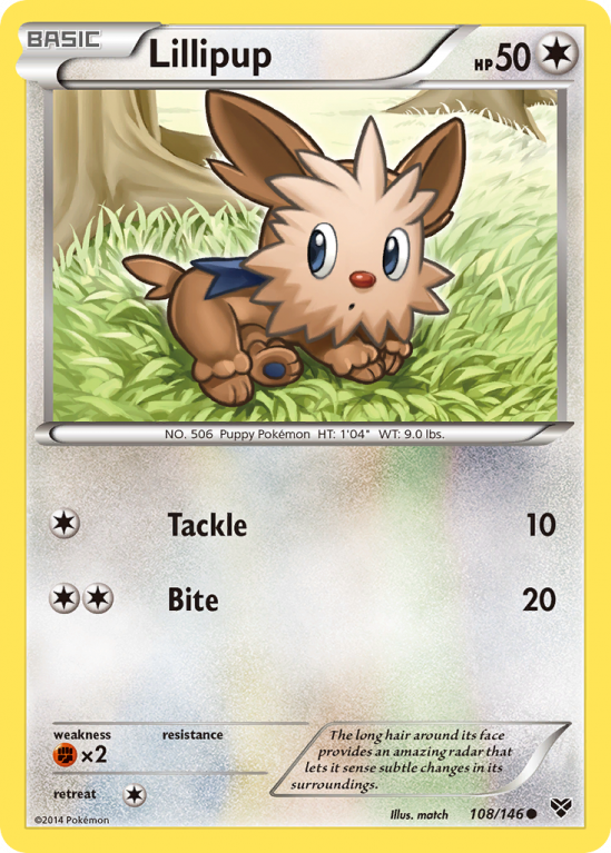 Lillipup 108/146 XY XY